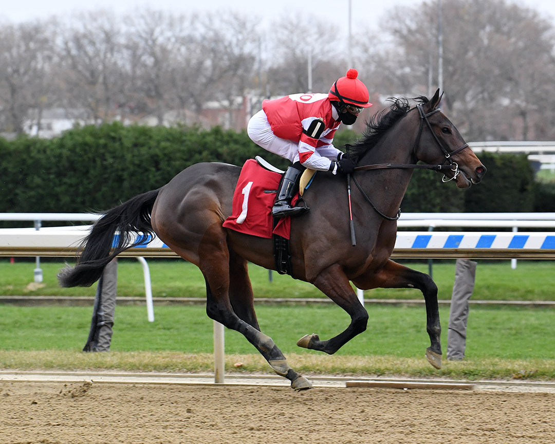 Brattle House wins a Nov. 22 maiden race at Aqueduct