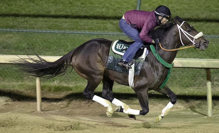 Bravazo trains at Churchill Downs on Oct. 25