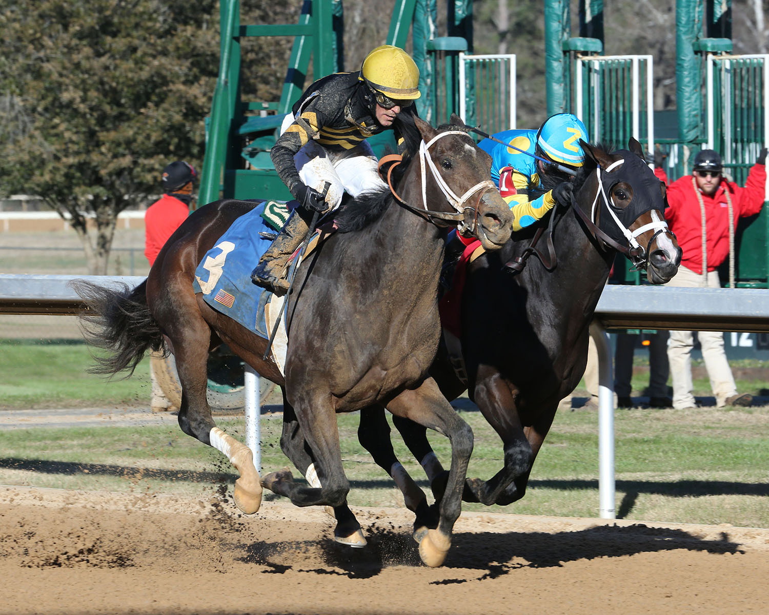 Ezmosh finishes second in a Jan. 13 allowance to Bravazo