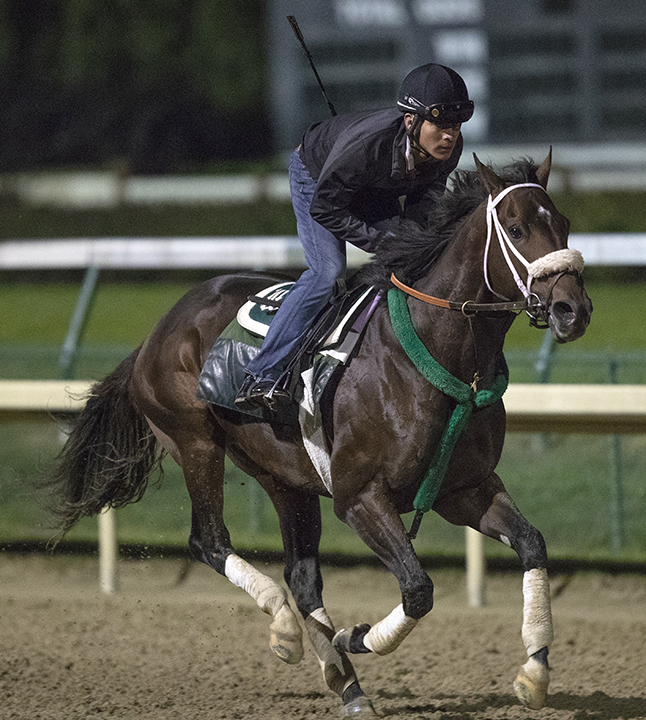 Bravazo trains at Churchill Downs on Oct. 20