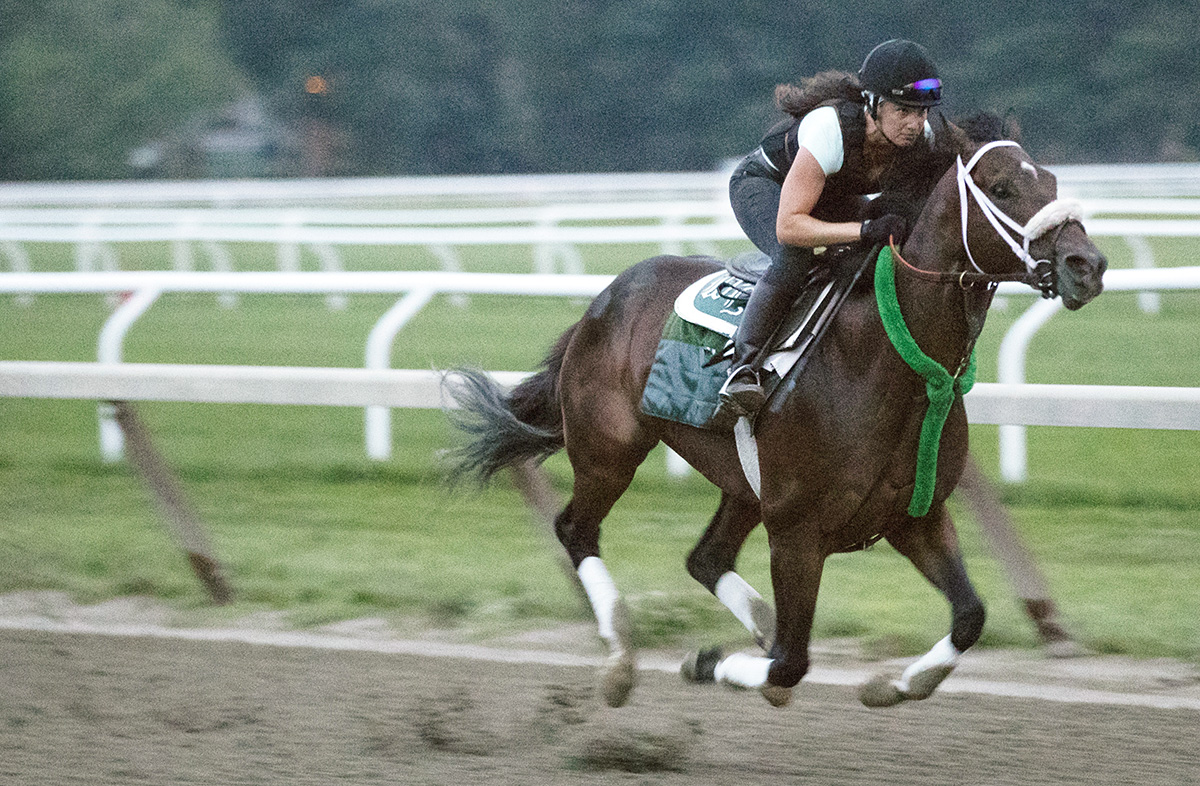 Bravazo trains at Saratoga on Aug. 13