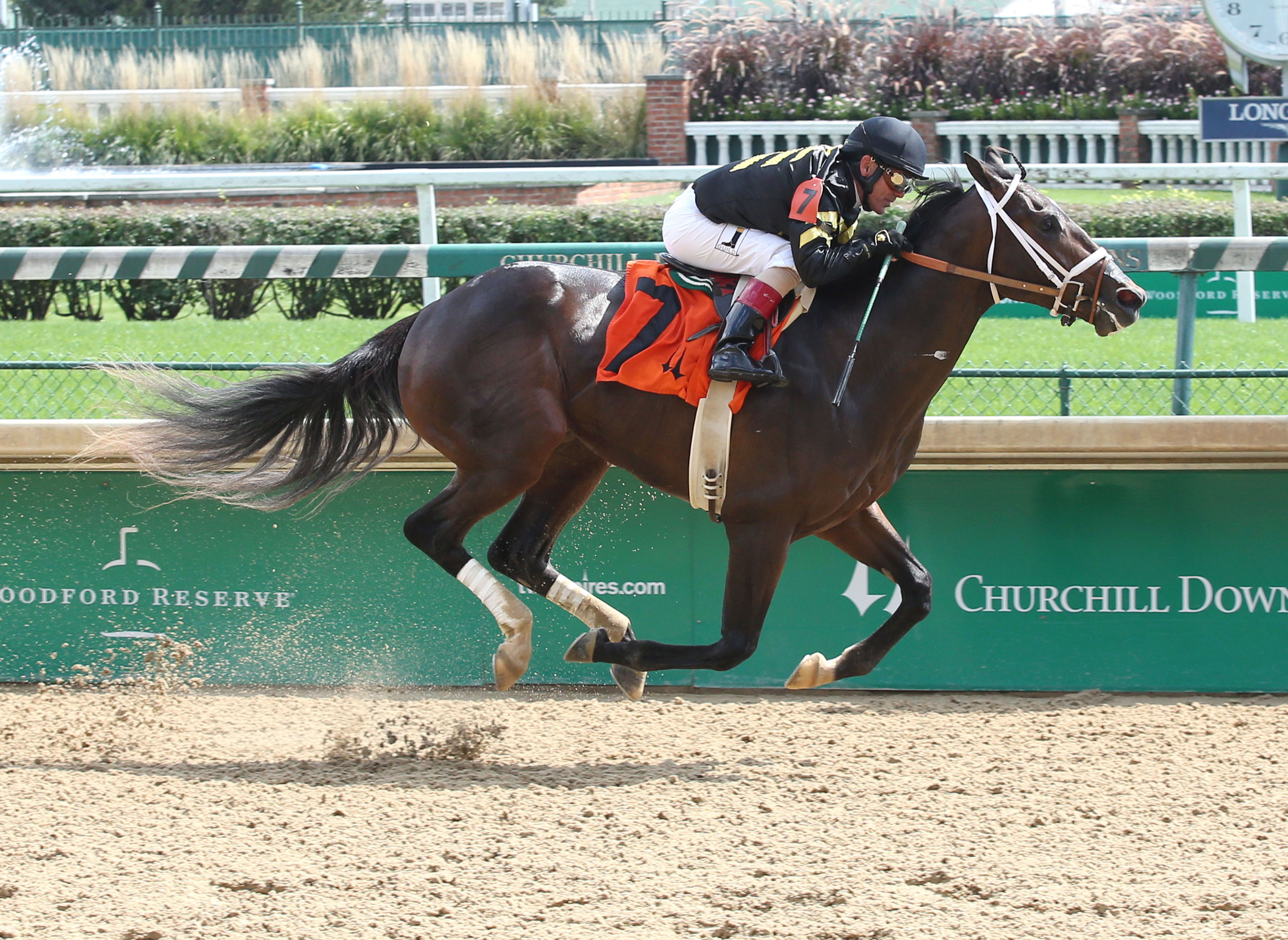 Bravazo wins a Sept. 16 maiden race