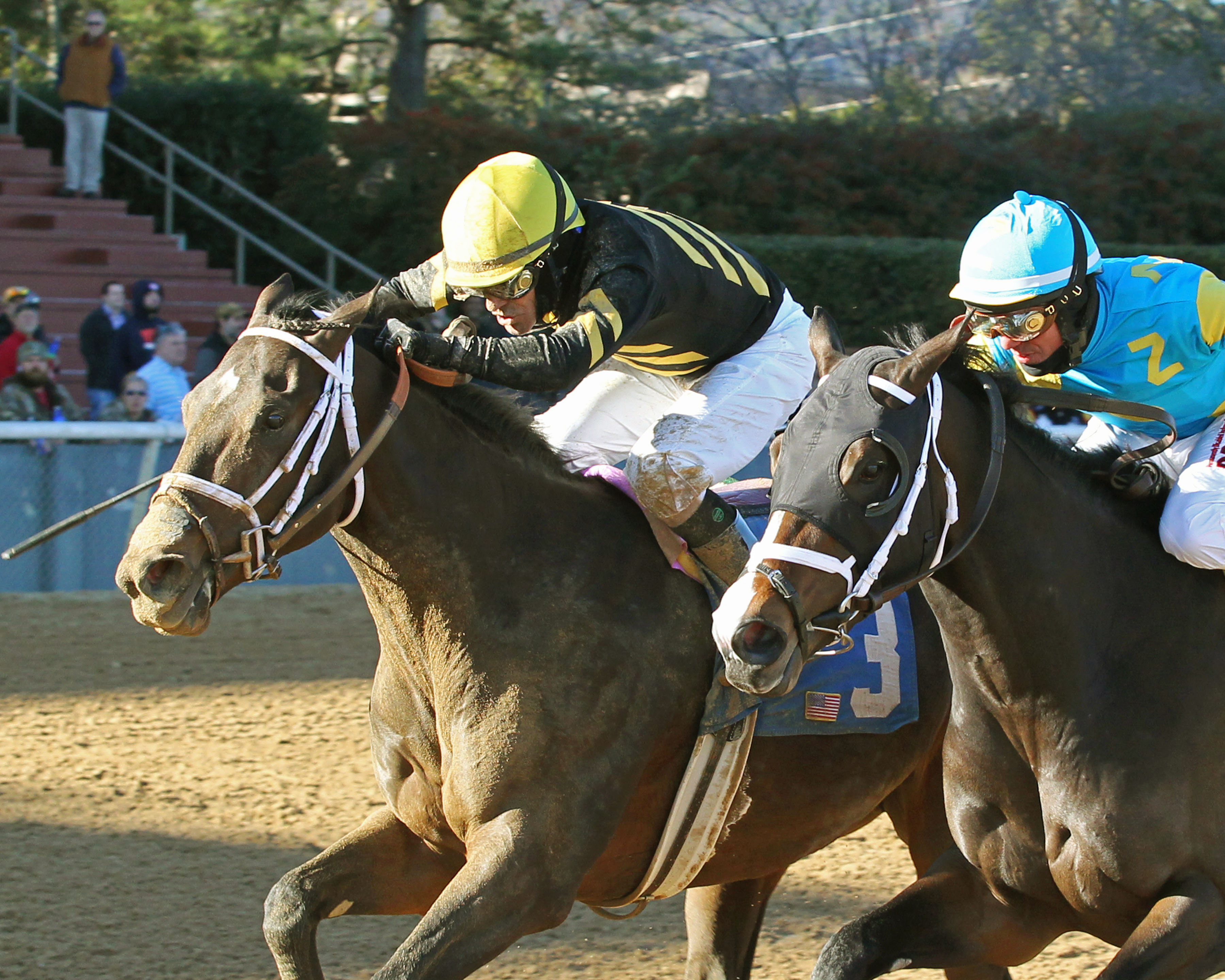Bravazo wins a Jan. 13 allowance