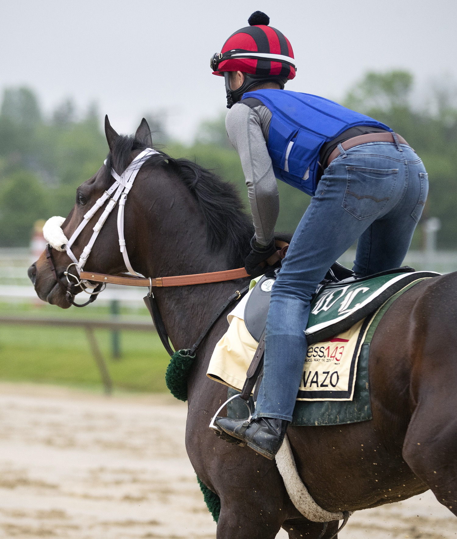 Bravazo at Pimlico on May 16