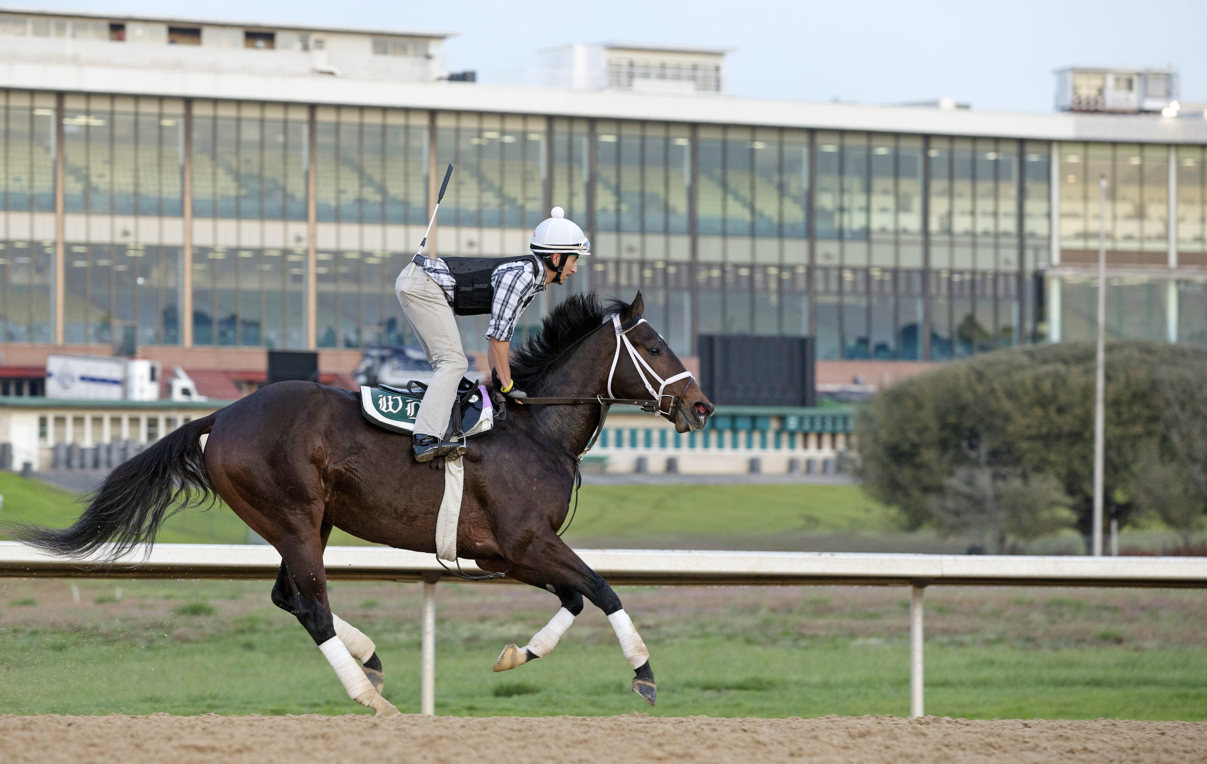 Bravazo trains at Oaklawn on March 17