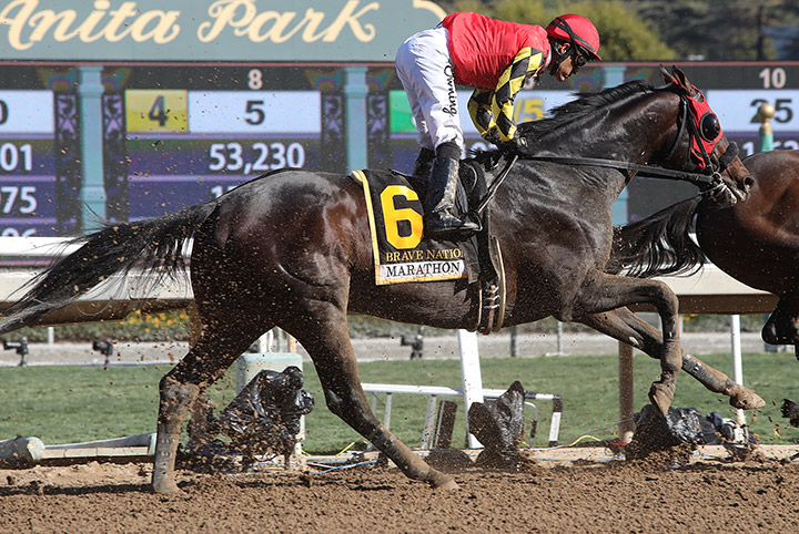 Brave Nation finishes fourth in the 2019 Marathon Stakes at Santa Anita Park