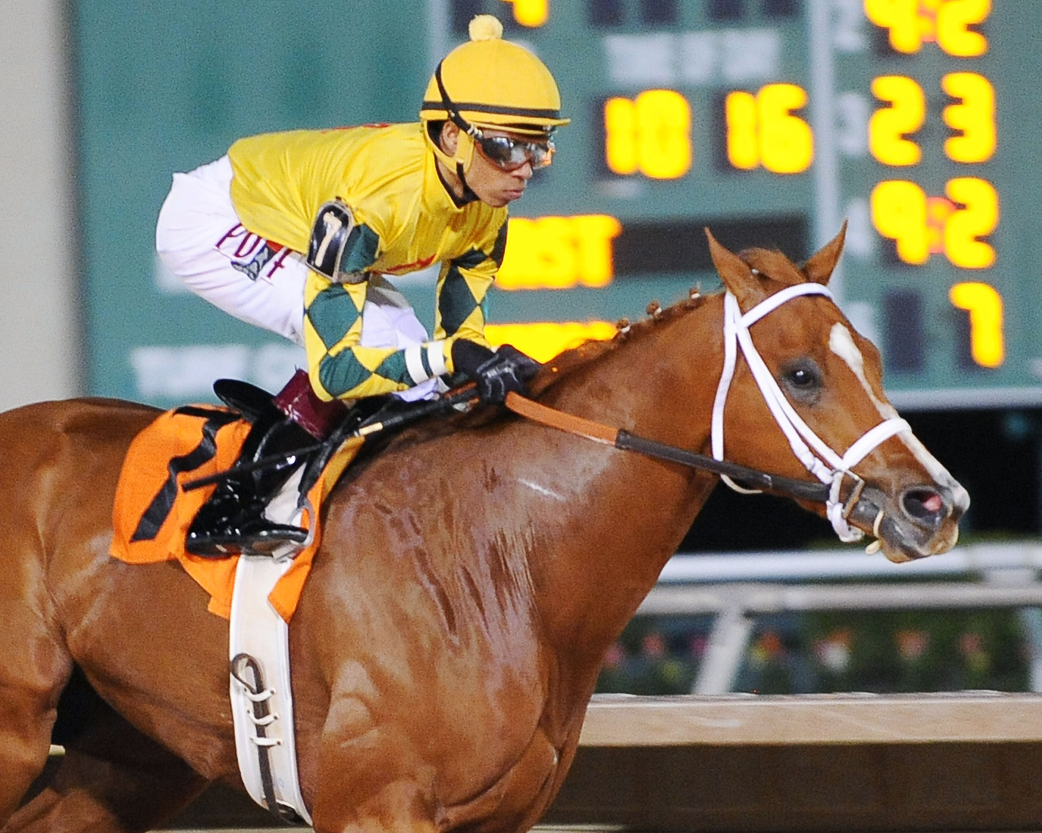 Bravura wins the 2016 Jim's Orbit Stakes