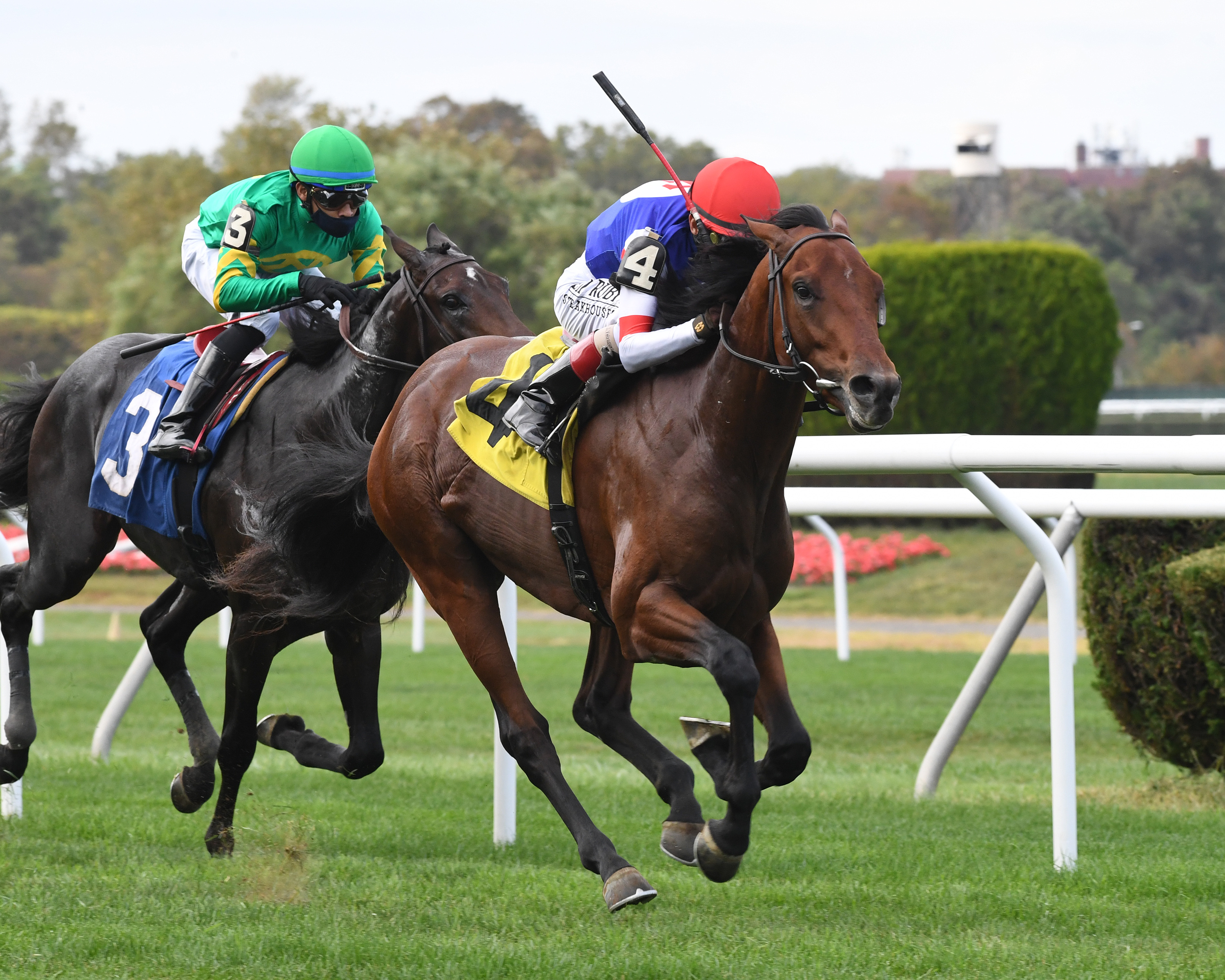 Breadman wins a Sept. 26 maiden race at Belmont Park