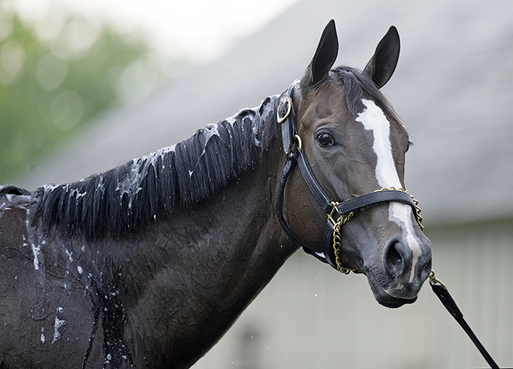 Break Even at Saratoga Race Course on July 12