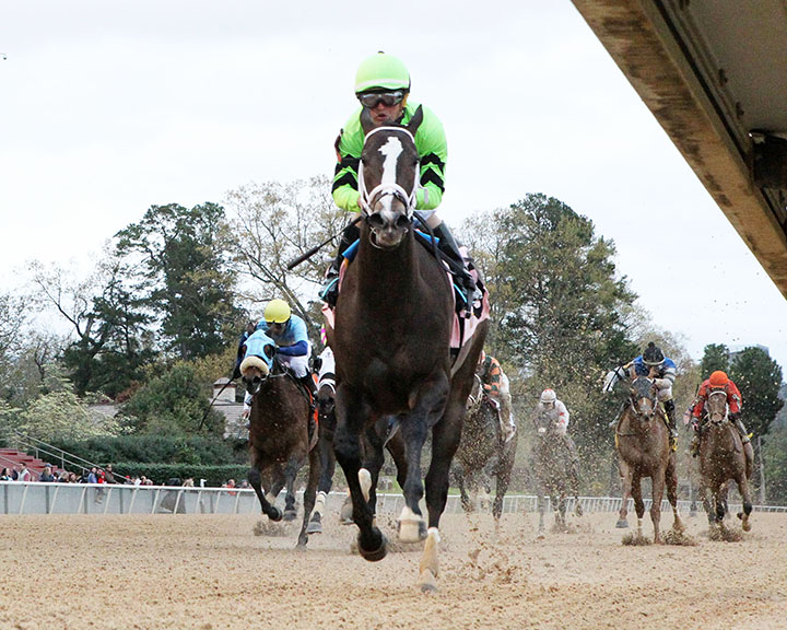 Break Even wins the 2019 Purple Martin Stakes