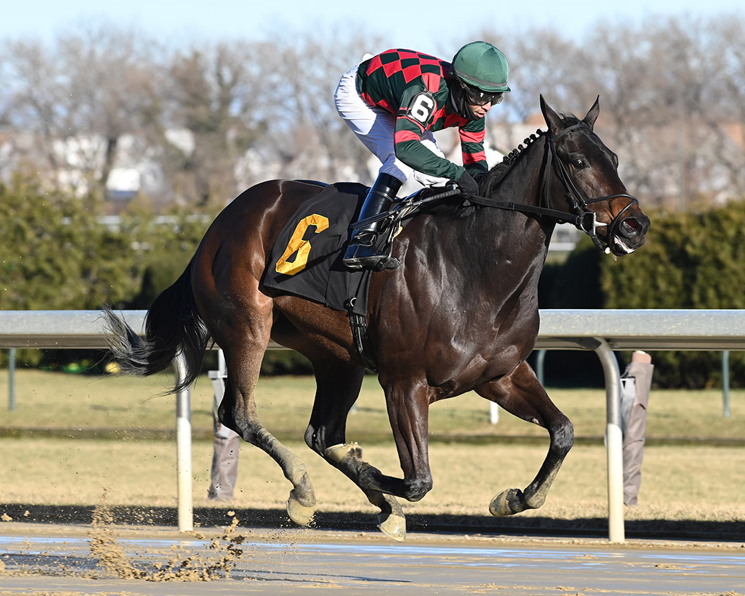 Breakfastatbonnies wins a Jan. 2 maiden at Aqueduct