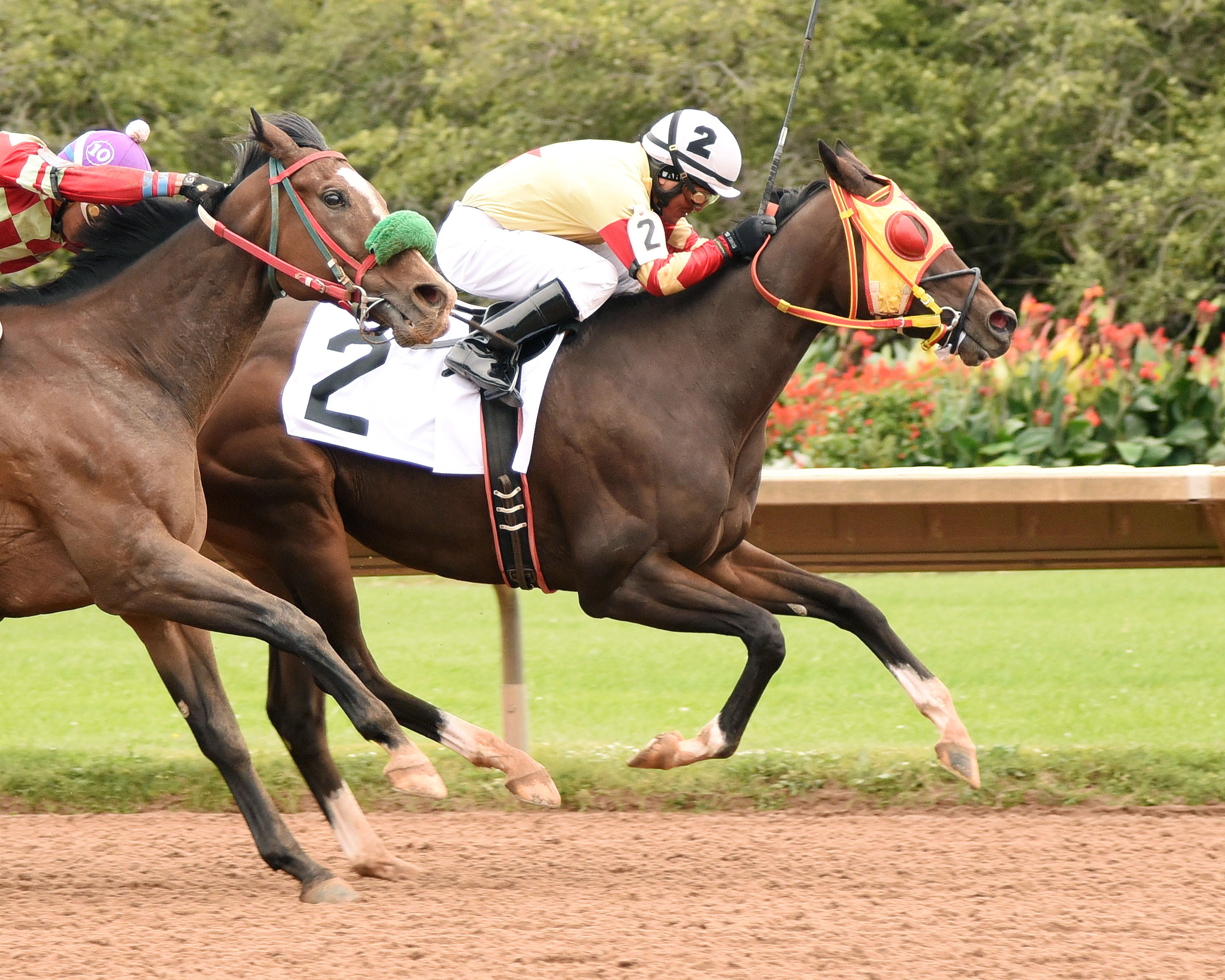 Breakin the Fever wins the Lou Reed Memorial