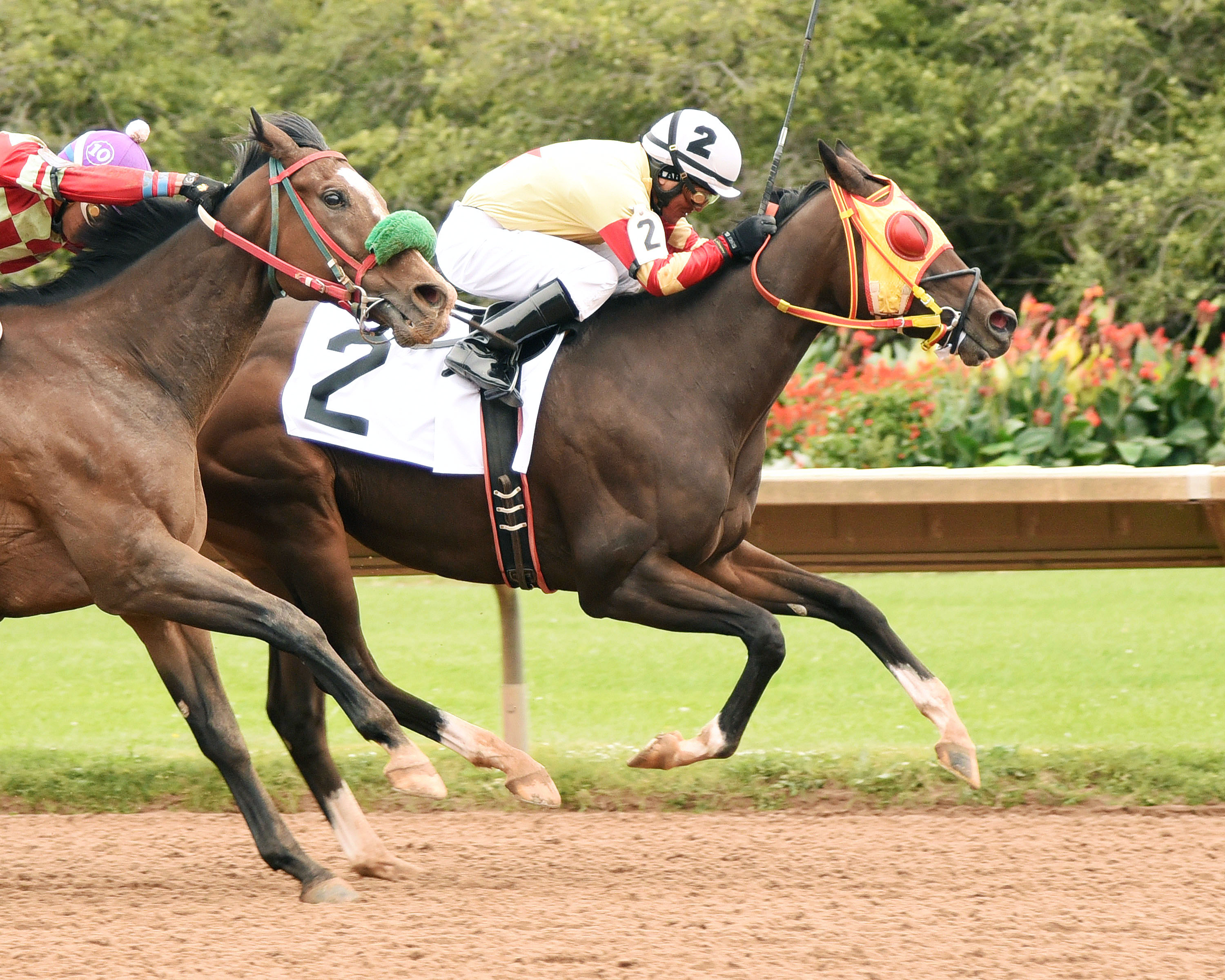 Breakin the Fever wins the 2015 Leon Reed