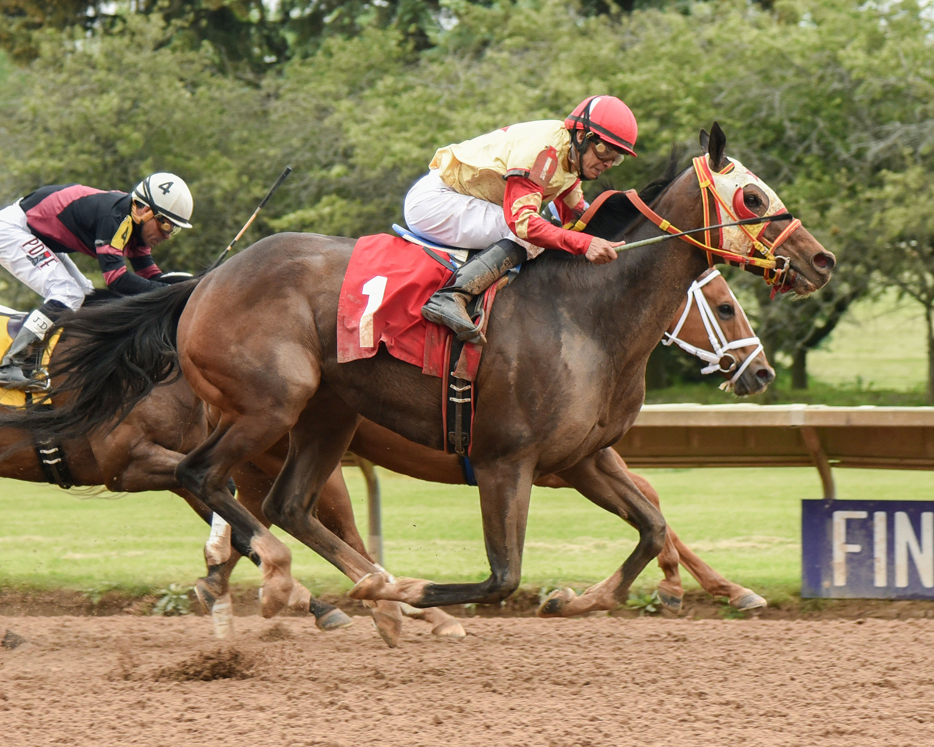 Breakin the Fever wins the 2017 George W. Barker Stakes