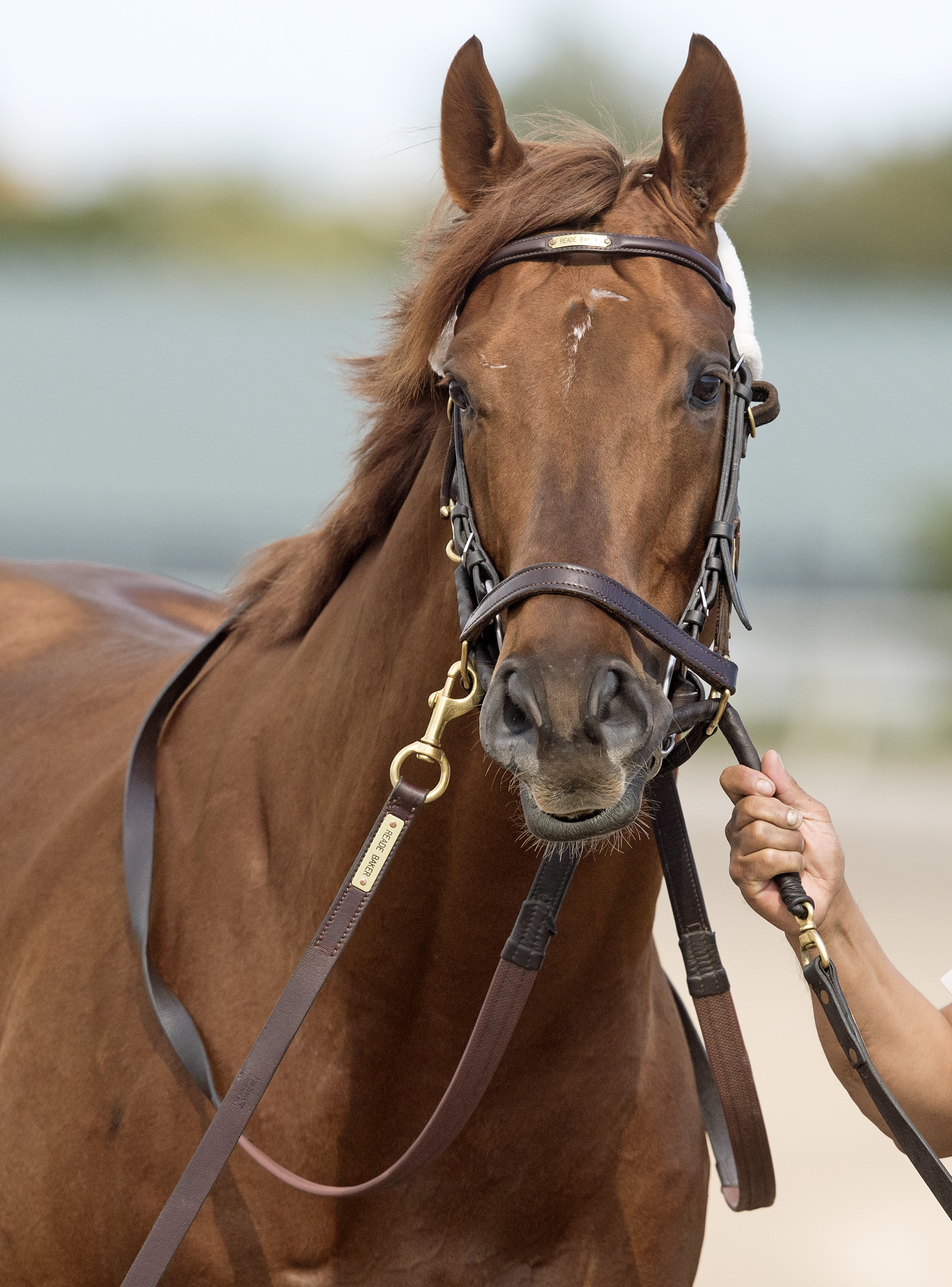 Breaking Lucky on Jan. 20