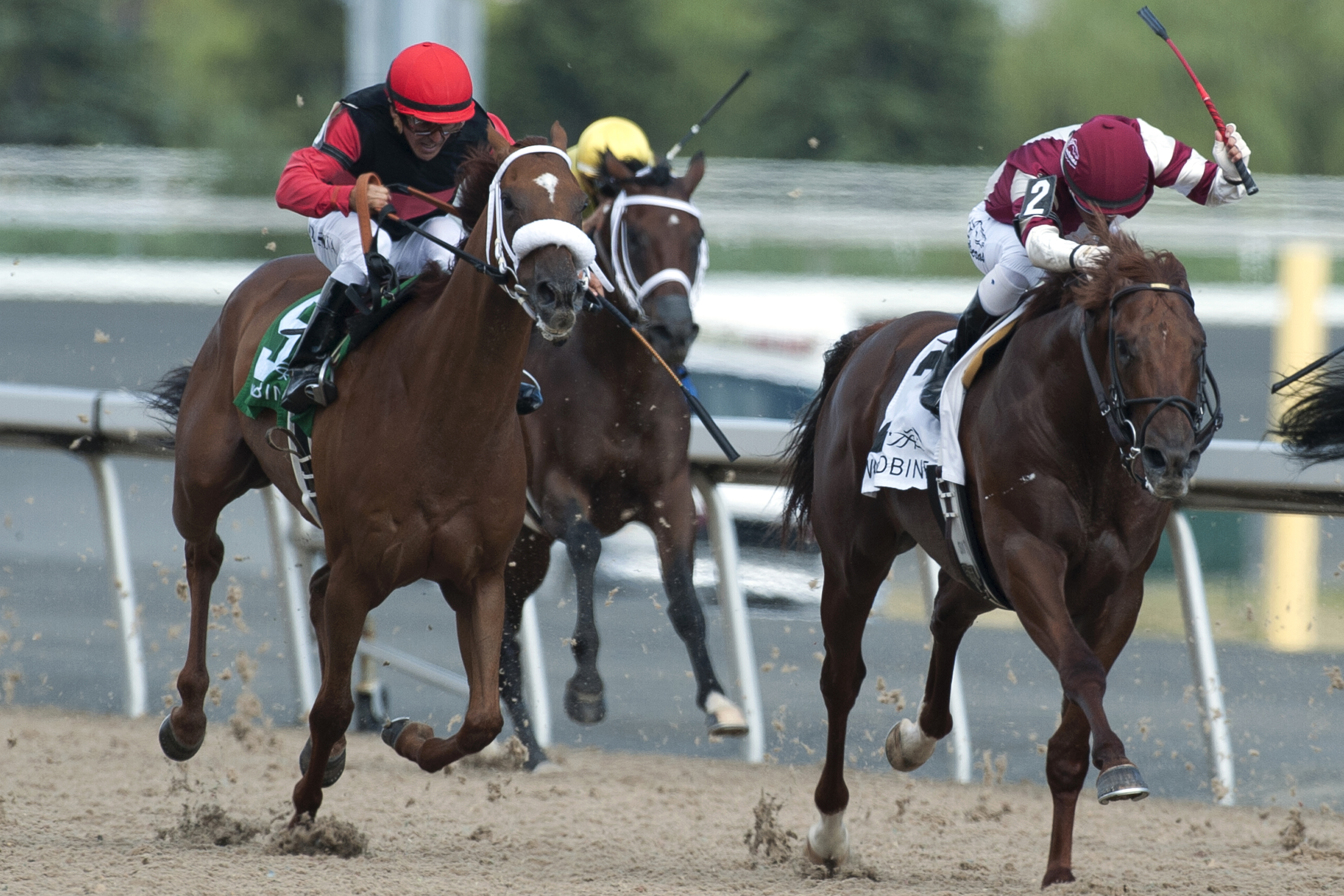 Breaking Lucky wins the Seagram Cup