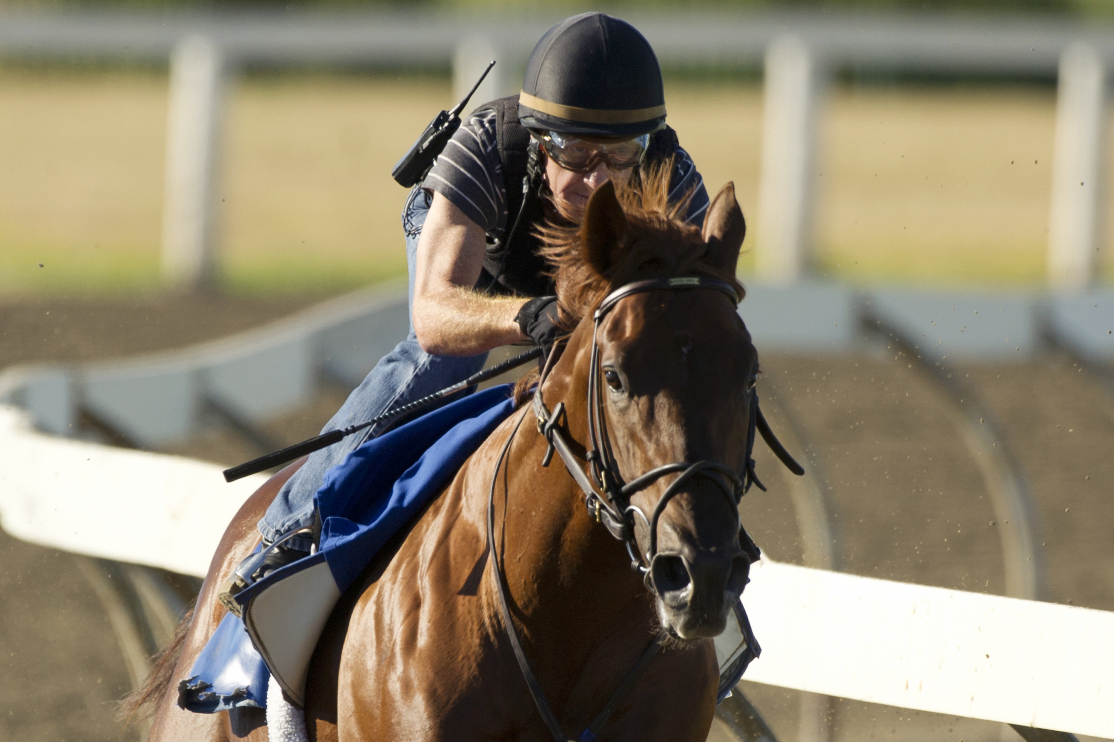 Breaking Lucky trains at Woodbine on Aug. 12