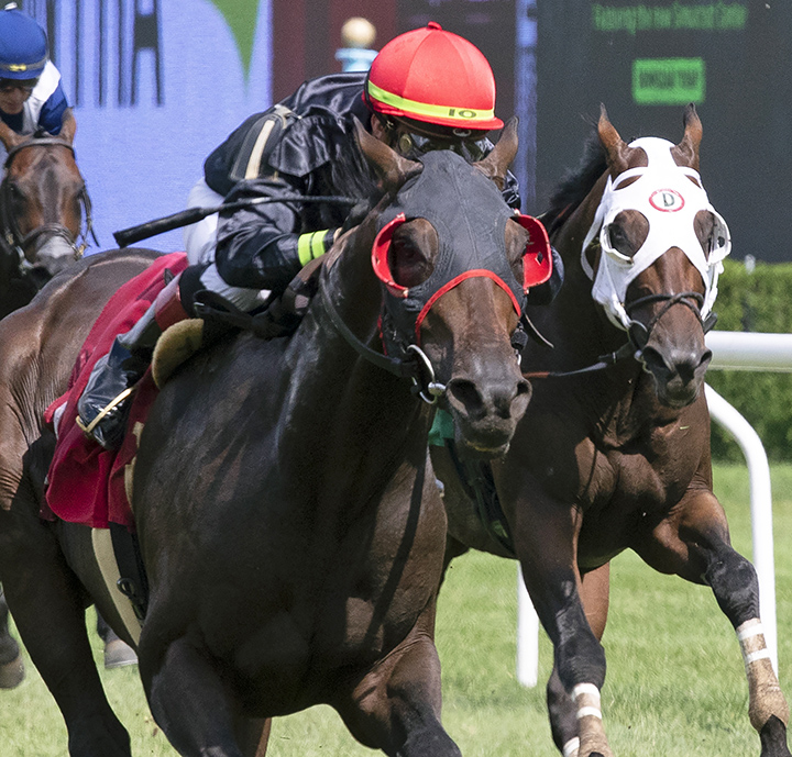 Breaking the Rules finishes third in a Sept. 1 allowance