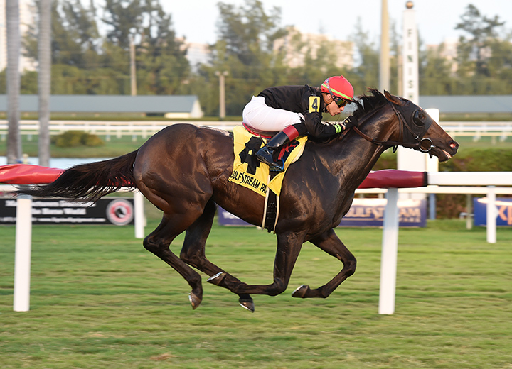 Breaking the Rules wins the 2018 Tropical Park Derby