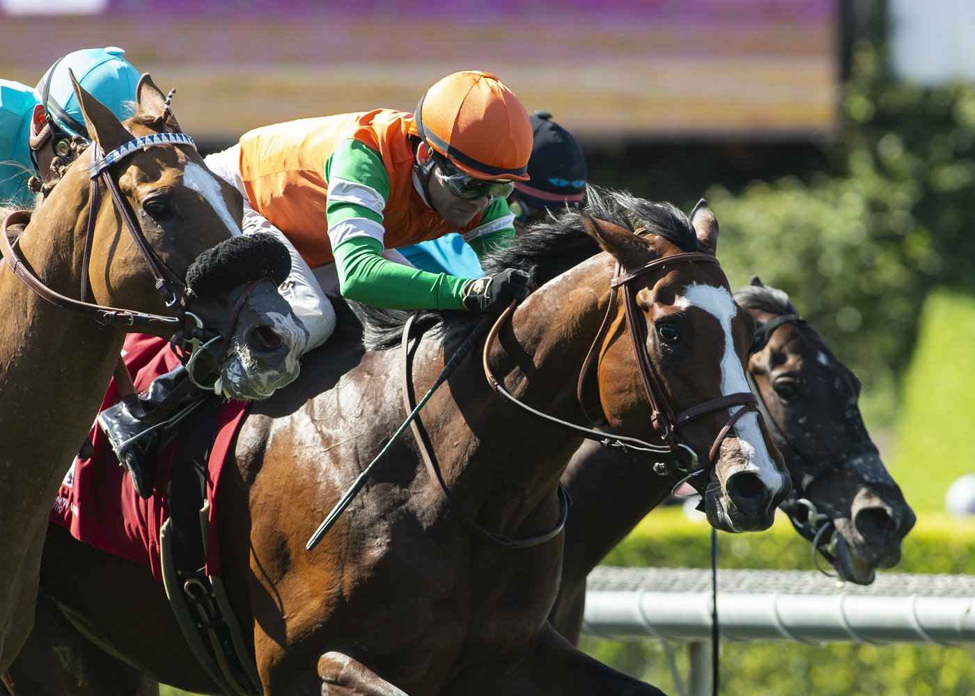 Breakpoint wins San Juan Capistrano 6-19-2022