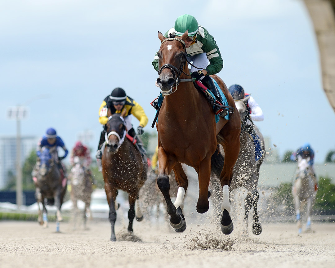 Breeze On By wins a July 12 maiden race at Gulfstream Park