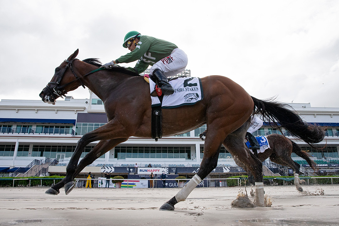 Breeze on By wins the 2020 Dr. Fager Stakes at Gulfstream Park
