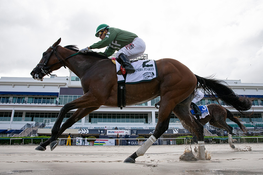Breeze on By wins the 2020 Dr. Fager Stakes at Gulfstream Park