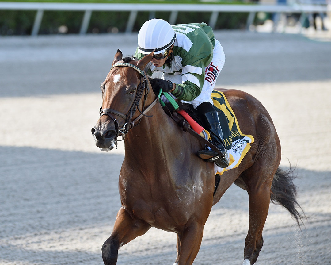Breeze On By wins the 2020 Affirmed Stakes at Gulfstream Park