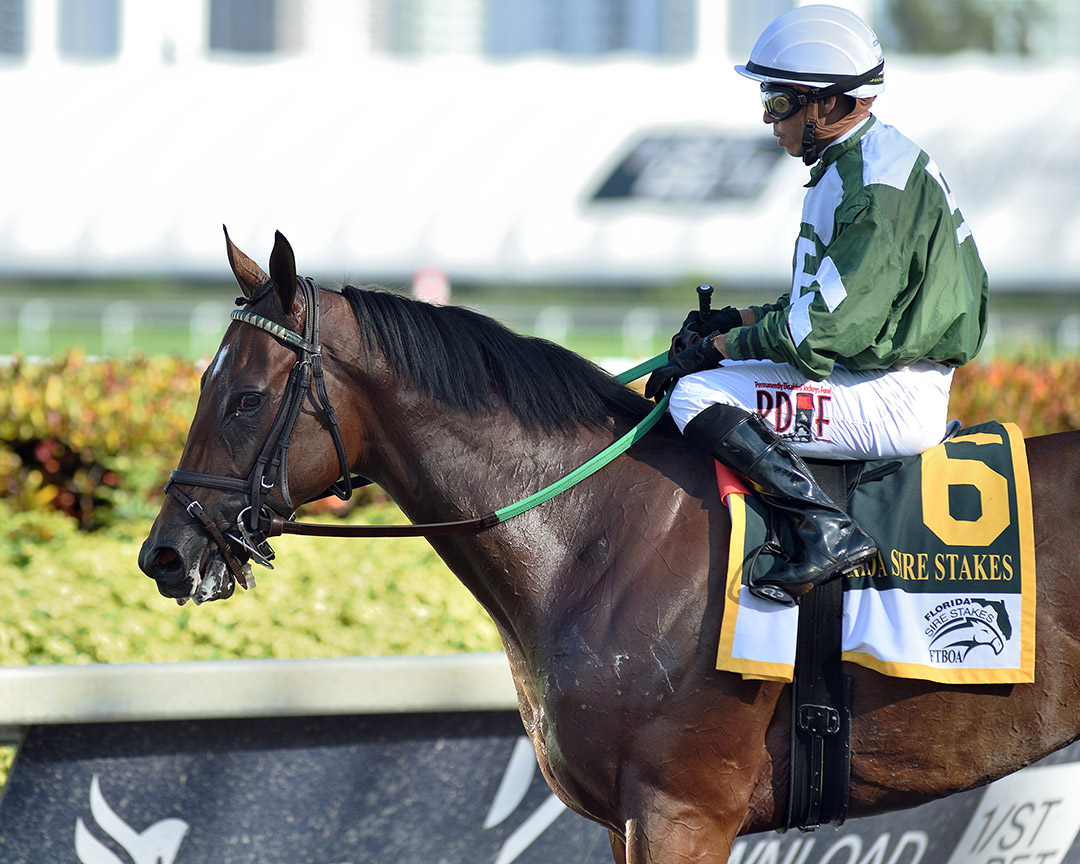 Breeze on By at the 2020 Affirmed Stakes at Gulfstream Park