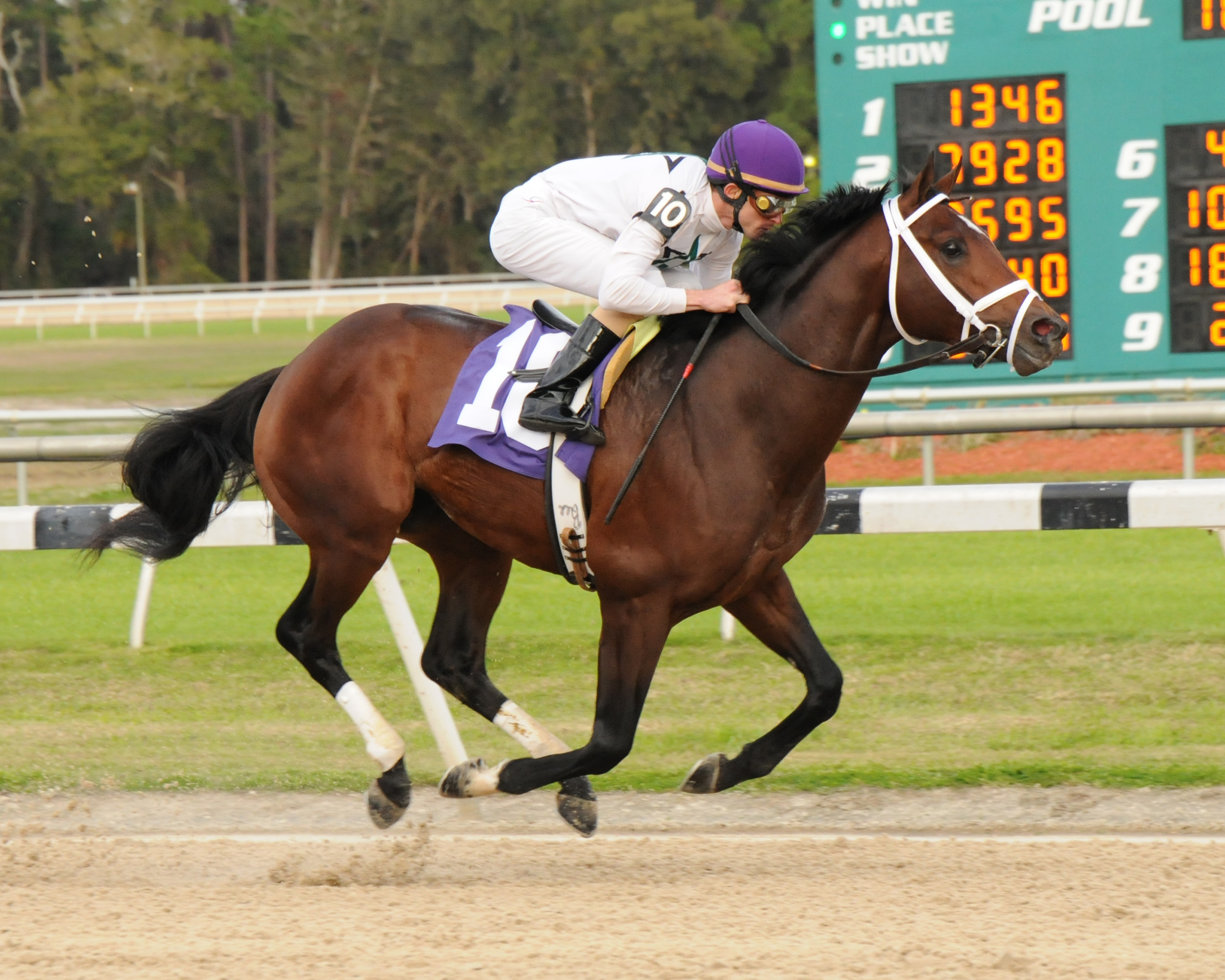 Brethren, Sam Davis Stakes, Feb. 12. 2011