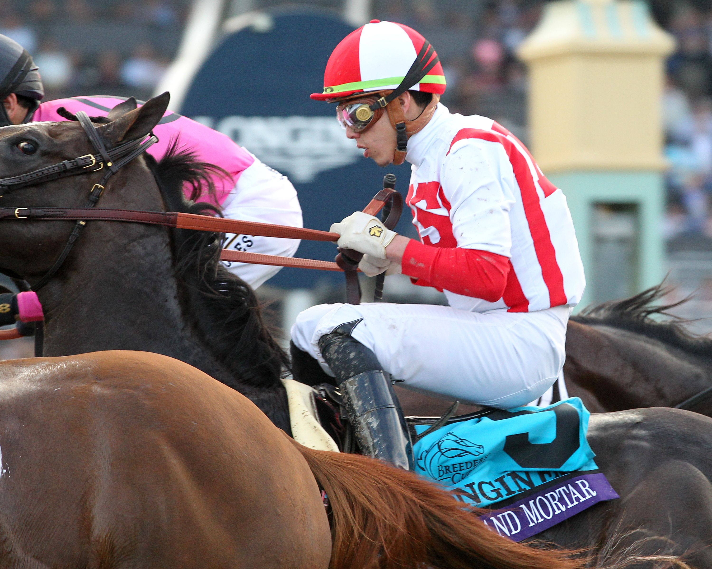 Breeders' Cup World Championships - Many reasons to give thanks