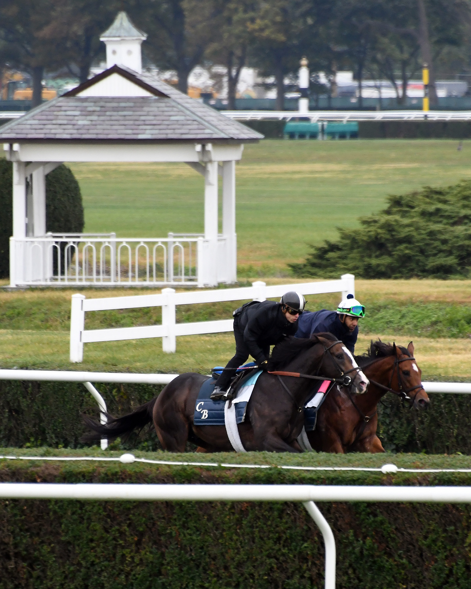 Bricks and Mortar (outside) works at Belmont Park on 10.20.19