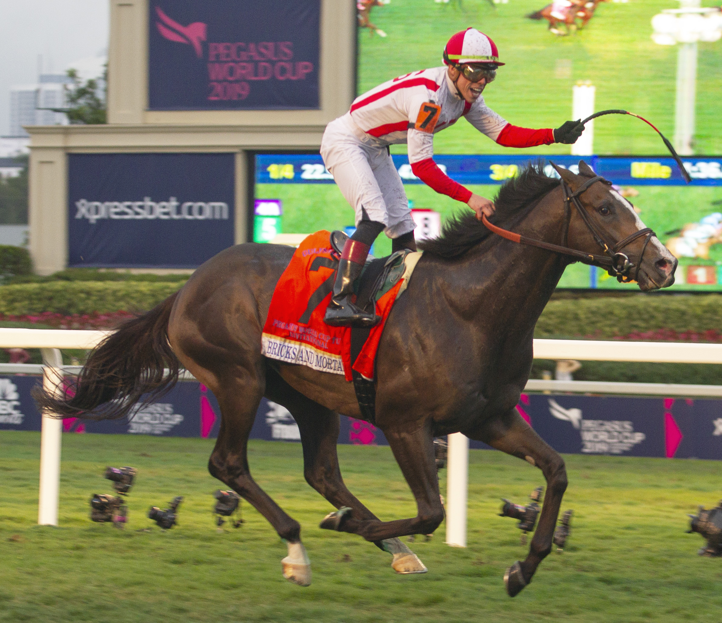 Bricks and Mortar wins the 2019 Pegasus World Cup Turf