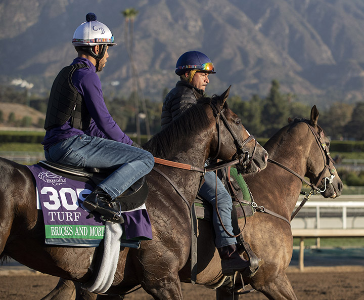 Bricks and Mortar at Santa Anita Park on Oct. 30