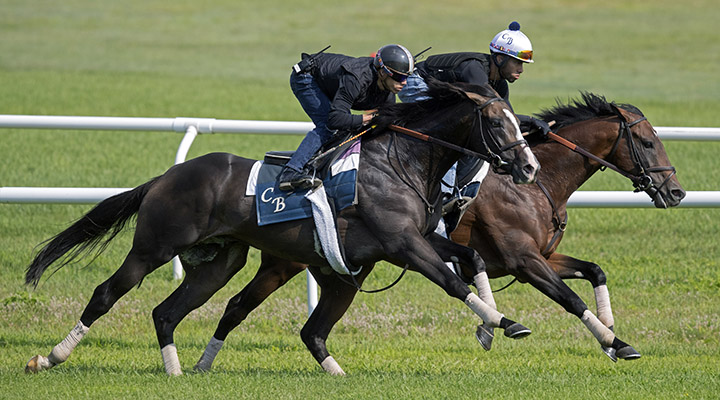 Bricks and Mortar trains with Raging Bull at Saratoga Race Course on Aug. 4
