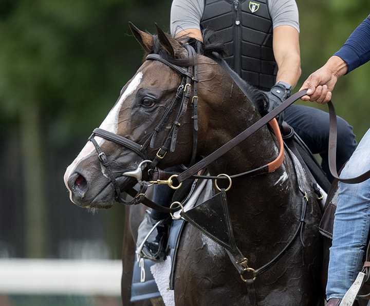 Bricks and Mortar at Saratoga Race Course on Aug. 19