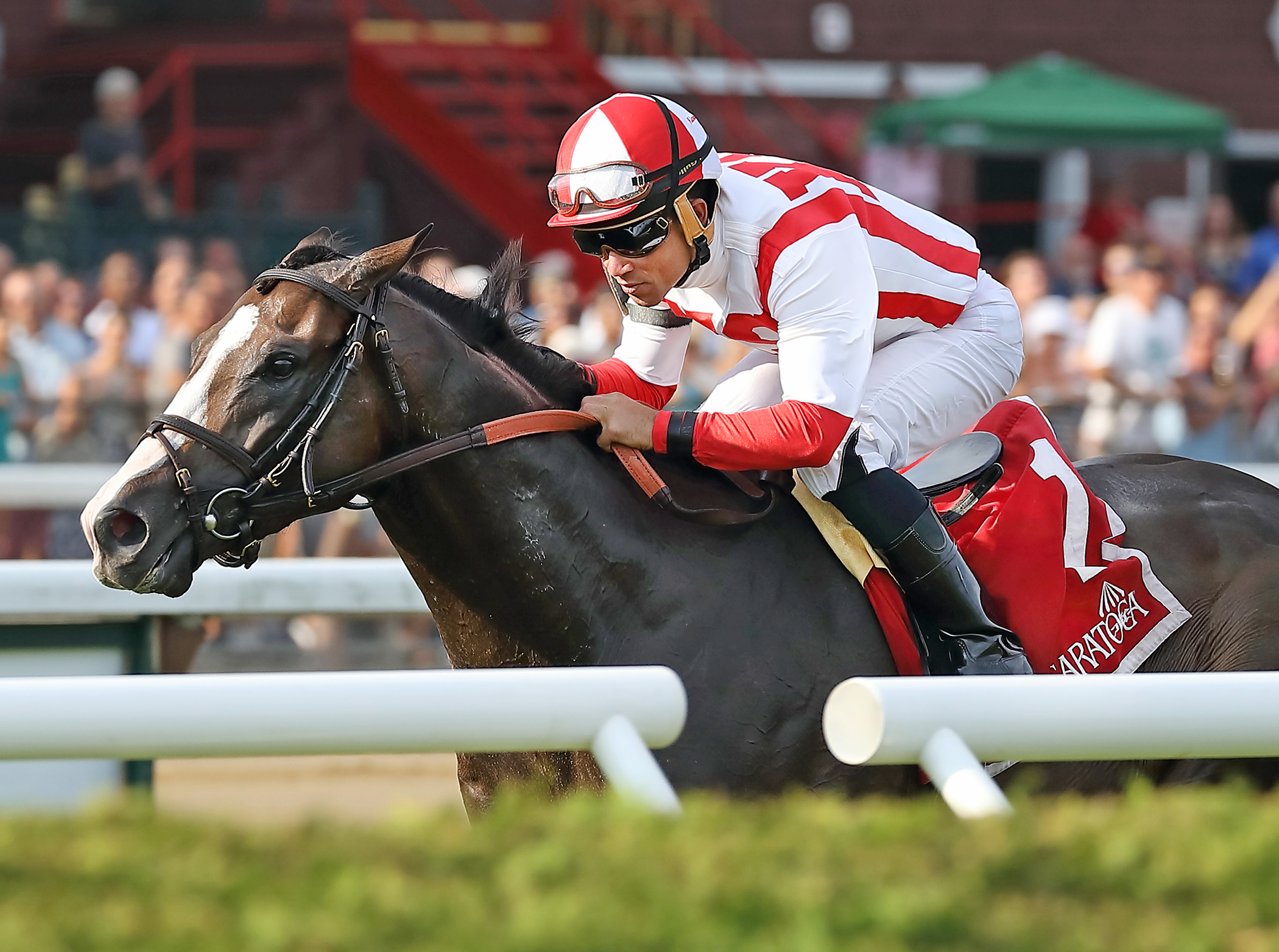 Bricks and Mortar wins the 2017 National Museum of Racing Hall of Fame Stakes
