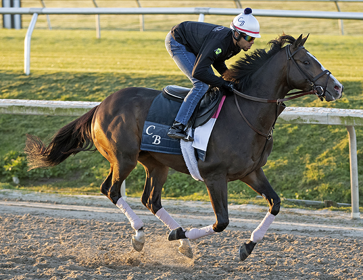 Bricks and Mortar trains at Fair Grounds on March 20