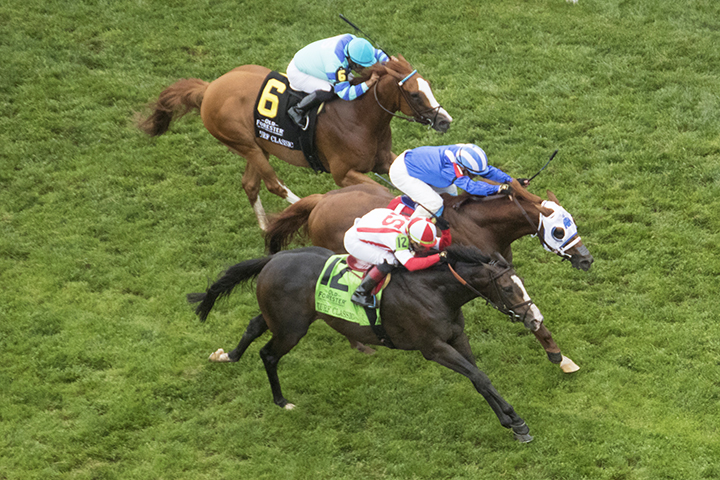 Clyde's Image finishes third in the 2019 Turf Classic