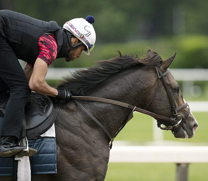 Bricks and Mortar trains at Belmont Park on June 5