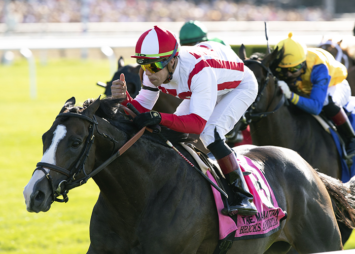 Brick and Mortar wins the 2019 Manhattan Stakes