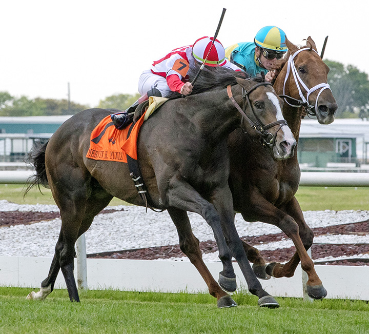 Bricks and Mortar wins the Muniz Memorial