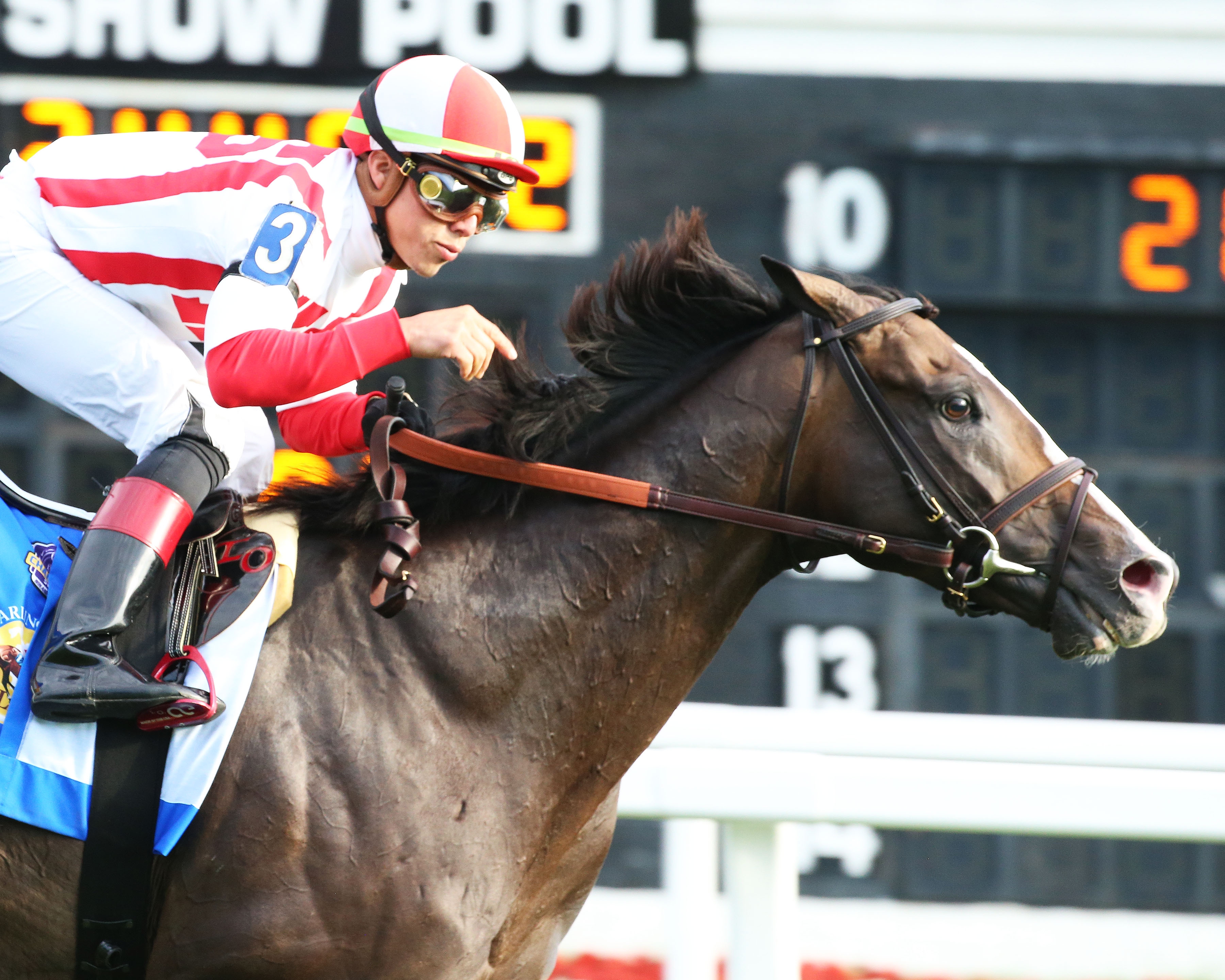 Bricks and Mortar wins the 2019 Arlington Million