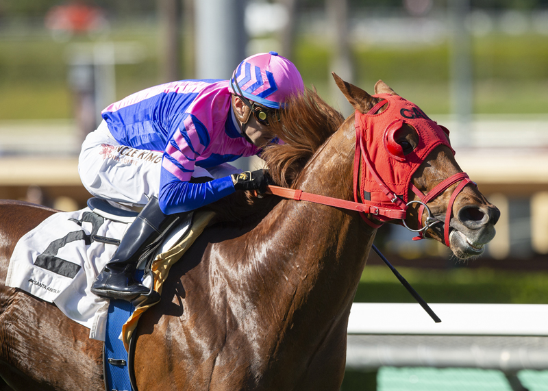 Brickyard Ride wins Sensational Star 3-20-2022
