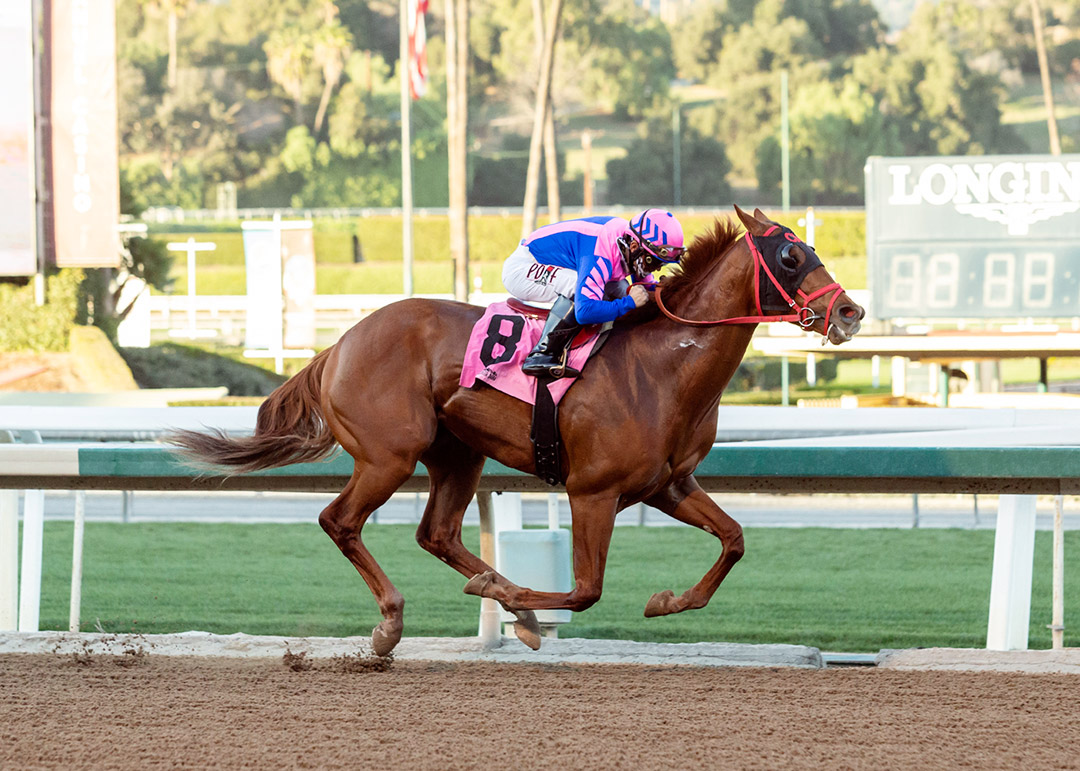 Brickyard Ride wins the 2021 California Cup Sprint at Santa Anita Park
