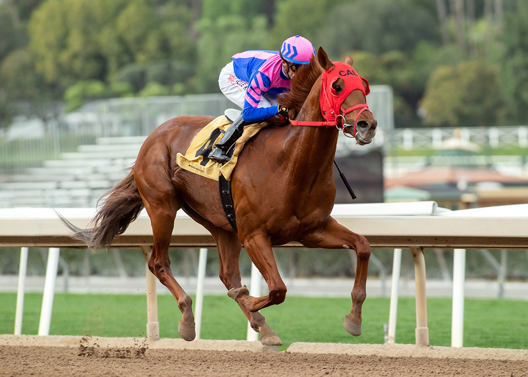 Brickyard Ride wins the 2022 Tiznow Stakes at Santa Anita