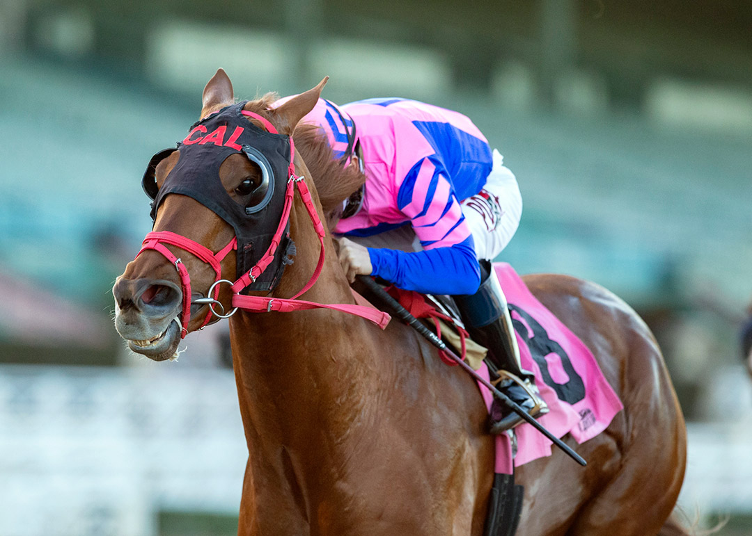 Brickyard Ride wins the 2021 California Cup Sprint at Santa Anita