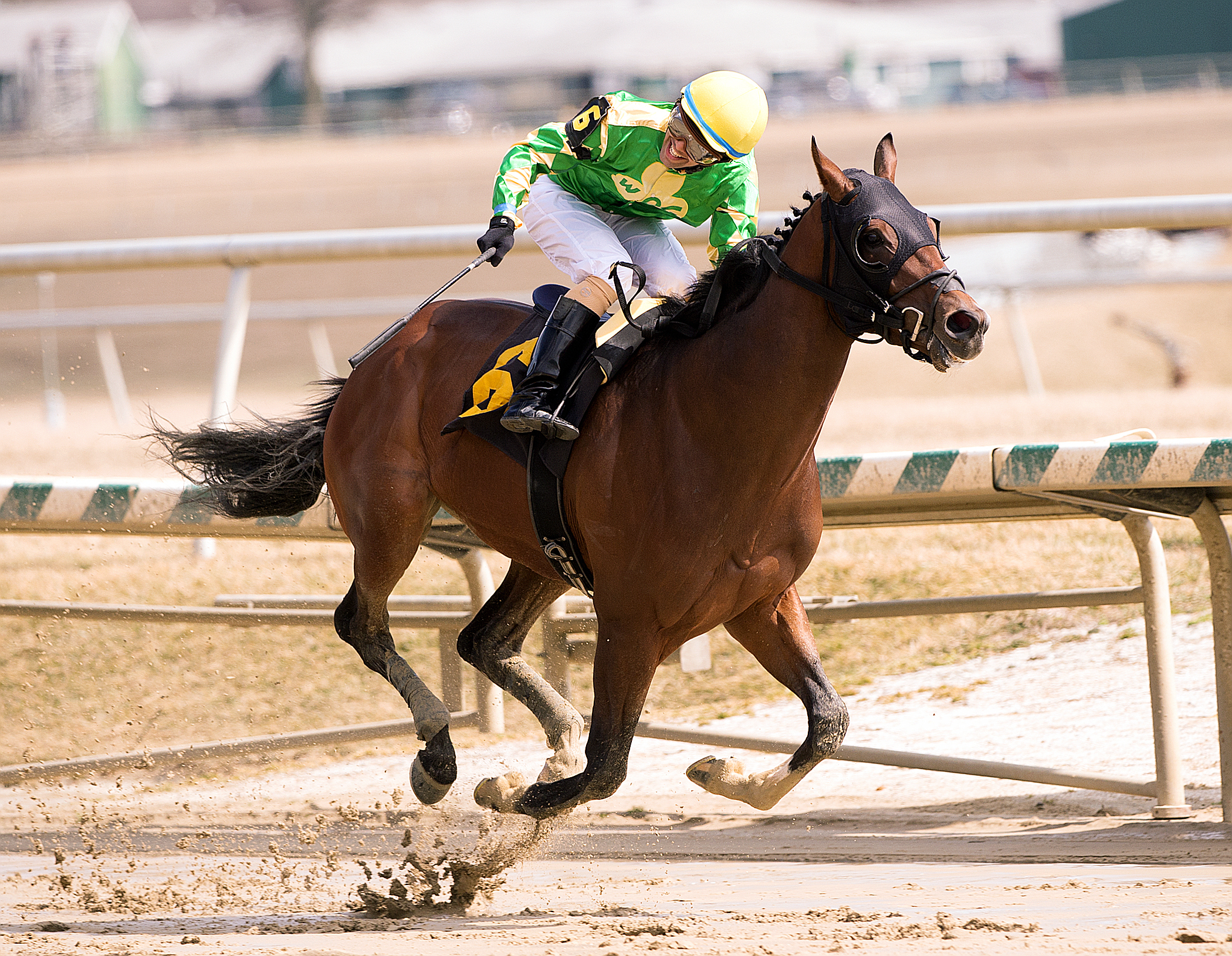 Bridget's Big Luvy wins the Private Term