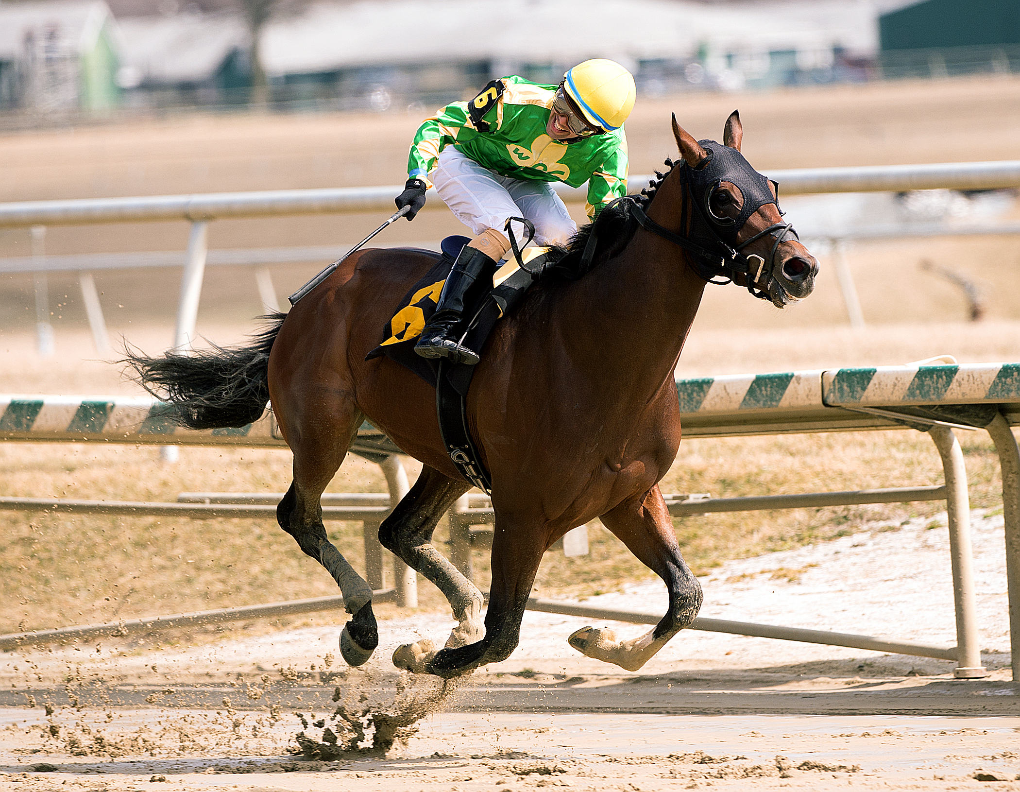 Bridget's Big Luvy wins the Private Term Stakes
