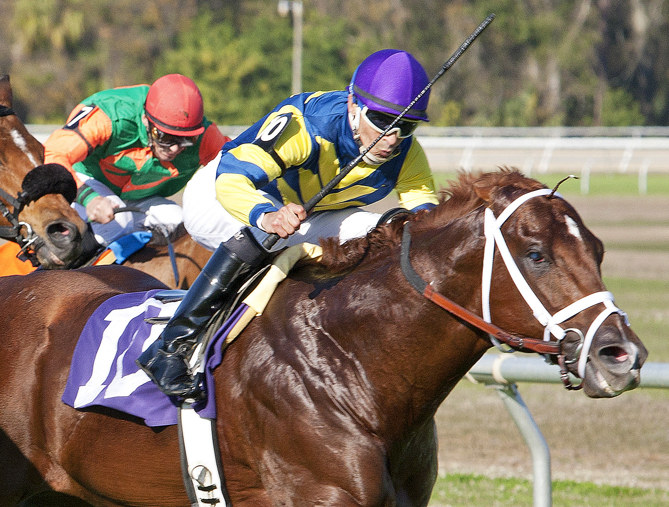 Bridgetown/Turf Dash
